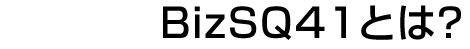 BizSQ41とは？